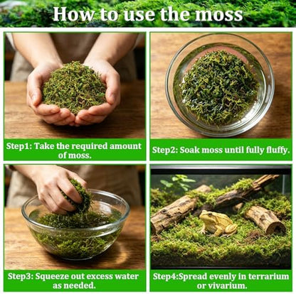 Riare 7OZ Natural Sphagnum Moss for Reptiles-10QT Soft Reptile Moss Bedding
