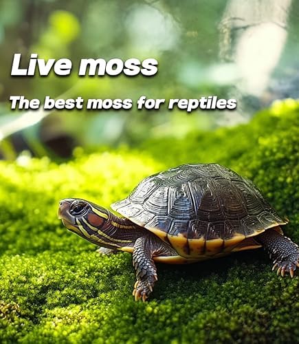 LUCKYRUNES Live Moss for Terrarium Bedding & Reptile Enclosures