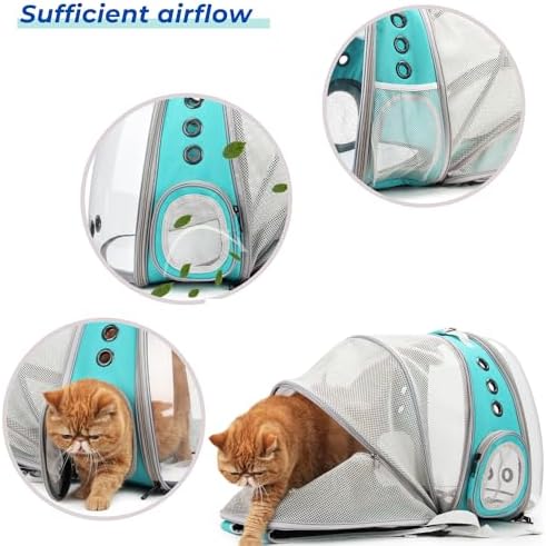 Lollimeow Cat Carrier Backpack, Expandable Bubble Pet Carrier for Cats and Small Dogs, Airline Approved Travel Backpack for Hiking, Walking & Outdoor Adventures - Supports up to 14 lbs