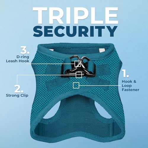Best Pet Supplies Voyager Step-in Air All Weather Mesh Harness and Reflective Dog 5ft Leash Combo with Neoprene Handle, for Small, Medium and Large Breed Puppies - Turquoise, Medium