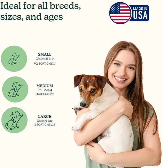 Reggie Morning Multivitamins for Dogs | Daily Dog Vitamin Chews with Vitamins & Minerals for Immunity, Heart, Skin, Coat, Joints & Digestion | Vet-Approved, Natural Dog Supplement | 60 Soft Chews