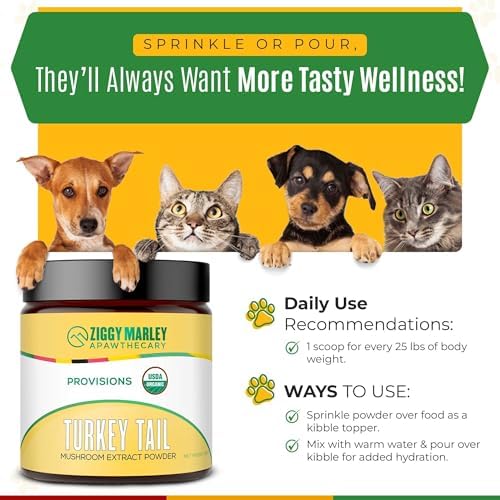 Ziggy Marley's USDA Organic Turkey Tail Mushroom Powder for Dogs & Cats – Support Immunity & Digestion – Fruiting Body Extract, 90 Grams