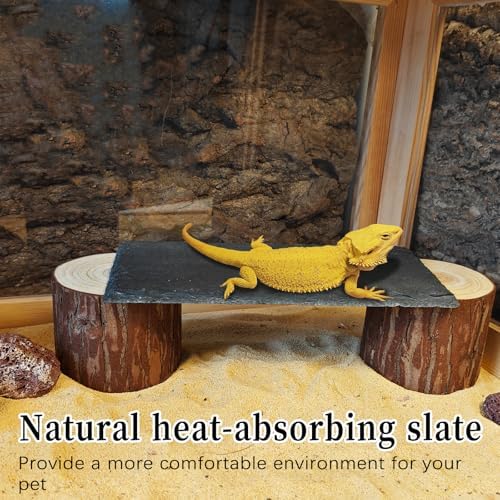 Bearded Dragon Basking Platform,Reptile Slate Basking Rock,Small