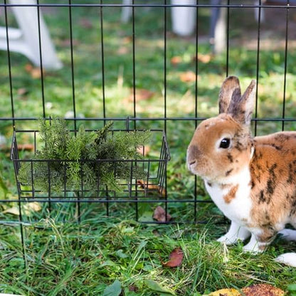 6 Pcs Rabbit Hay Feeder,Bunny Hay Feeder Rack with Metal Frame for Guinea Pig Chinchilla,Large Heavy-Duty Hays Holder Feeders for Rabbits Guinea Pigs, Small Animal Cage Accessories
