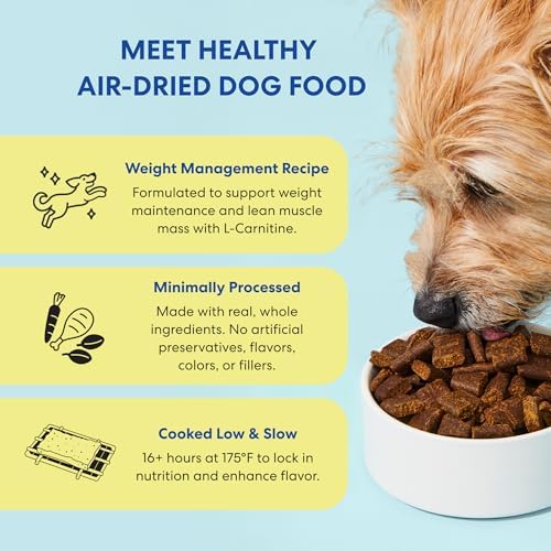 The Pets Table Air Dried Dog Food, Lamb & Beef, 1 lb (16 Oz)
