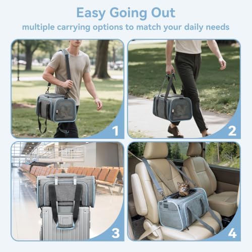 Petsfit Small Double Expandable Cat Carrier for Kittens and Air Travel