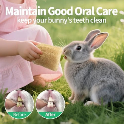 BESNEW Rabbit Chew Toys,100% Natural Loofah Without Additives,Bunny Chew Toys for Teeth,Fiber-Rich Rabbit Treats for Bunny Chinchilla Dogs