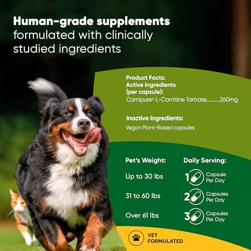 Healthy Weight & Energy Metabolism Supplement for Dogs & Cats
