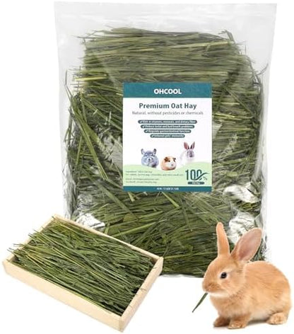 Premium Dust-Free Oat Hay 2.2lbs (2×1.1lbs) for Small Pets