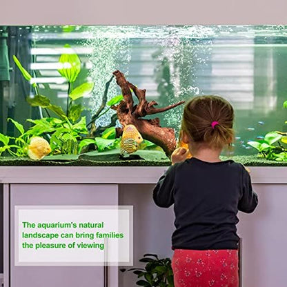 majoywoo Natural Small Driftwood for Aquarium Decor Reptile Decor