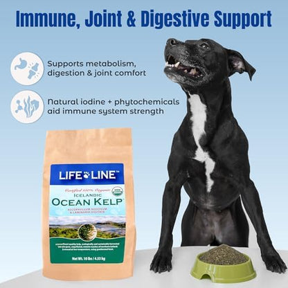Life Line Organic Ocean Canister Kelp for Cats, Dogs, Livestock, and Horses | Supports Skin, Coat & Immune Health – Reduces Tartar, Plaque & Shedding – Increases Metabolism and aids Digestion -10 lb