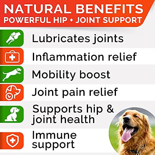 Glucosamine for Dogs w/Chondroitin - Hip & Joint Supplement for Dogs w/Omega-3 Fish Oil - Chondroitin MSM - Advanced Mobility Chews - Joint Pain Relief - Hip & Joint Care - Made in USA (120 Ct)