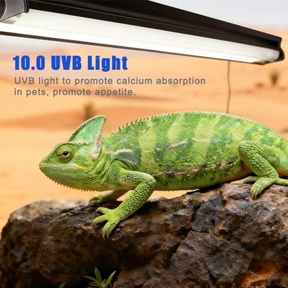 KINGYEENUO UVB 10.0 T8 Reptile Light Fixture Combo Kit 15W (New Upgrade)