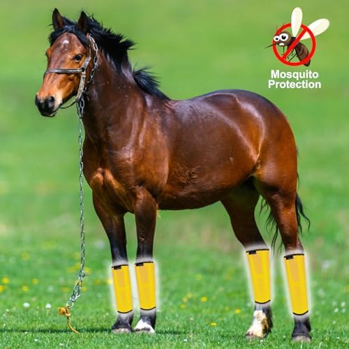 FOXLVDA Horse Fly Boots Set of 8 - Breathable Tough Mesh Equine Leg Wraps