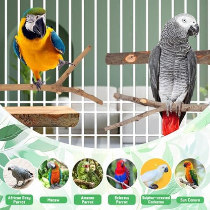 4 Pack Large Natural Wood Bird Perch Stand with Platform for Cage