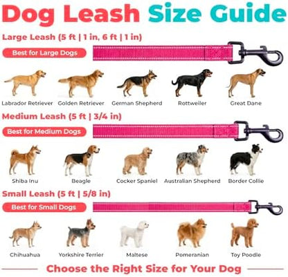 Best Pet Supplies Voyager Nylon Dog Leash - 6ft Fuchsia, Large