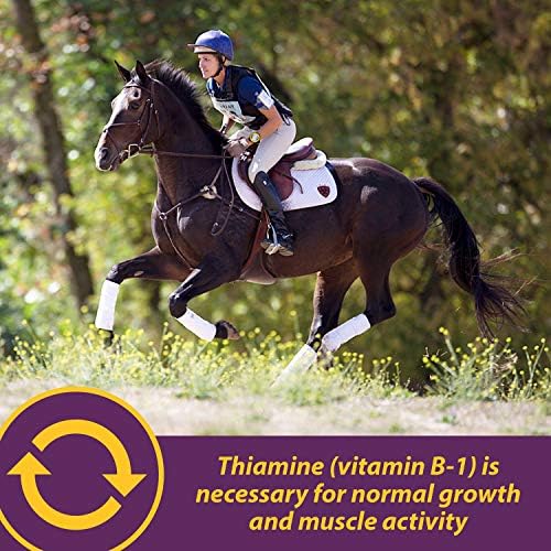 Farnam Horse Health Vita B-1 Crumbles Supplement for Horses, Supports optimal muscle activity and metabolism for performance, 20 pounds, 320 day supply