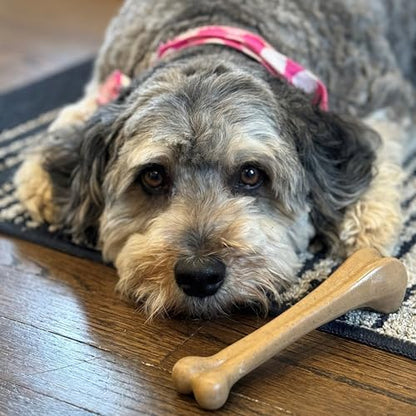 SPOT Bam-Bones Bone - Made with Strong Bamboo Fiber, Durable Long Lasting Dog Chew for Light to Moderate Chewers, Great Toy for Adult Dogs & Teething Puppies under 40lbs, 7.25in, Chicken Flavor