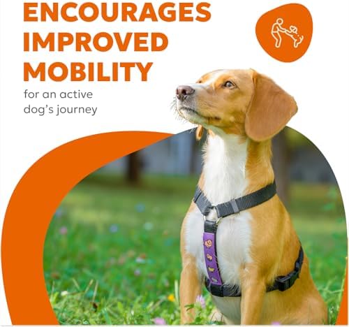 Dog Hip & Joint Supplement Soft Chews – Advanced Mobility & Comfort Support – Glucosamine, Chondroitin, MSM, Turmeric, Boswellia, Collagen – 60 Count