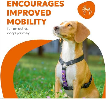 Dog Hip & Joint Supplement Soft Chews – Advanced Mobility & Comfort Support – Glucosamine, Chondroitin, MSM, Turmeric, Boswellia, Collagen – 60 Count