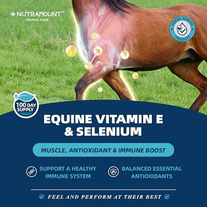 Horse Vitamin E & Selenium Supplement Powder – Natural Vitamin E 24% & Yeast Selenium – Daily Equine Antioxidant & Muscle Support – 100 Day Supply