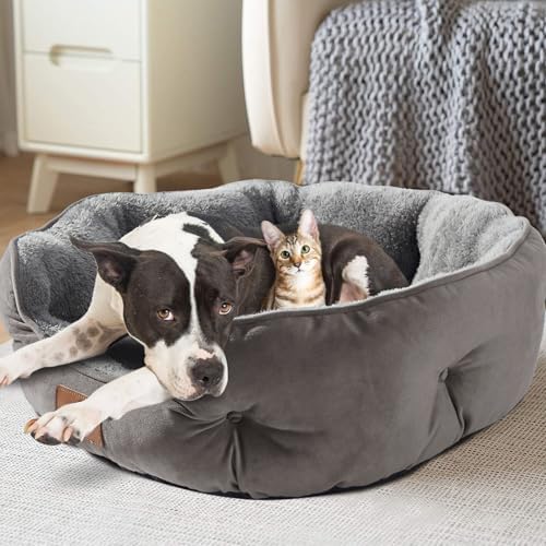 Asvin Large Dog Bed for Large Dogs, Cat Beds for Indoor Cats, Pet Bed for Puppy and Kitty, Extra Soft & Machine Washable with Anti-Slip & Water-Resistant Oxford Bottom, Grey, 35 inches