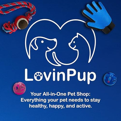 Pet Metal Comb for Dogs and Cats (2-Pack) – Detangling Comb