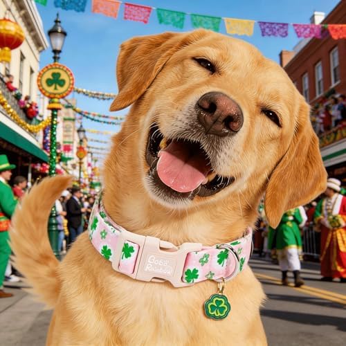 St Patrick's Pink Four-Leaf Clover Dog Collar for Medium Dogs