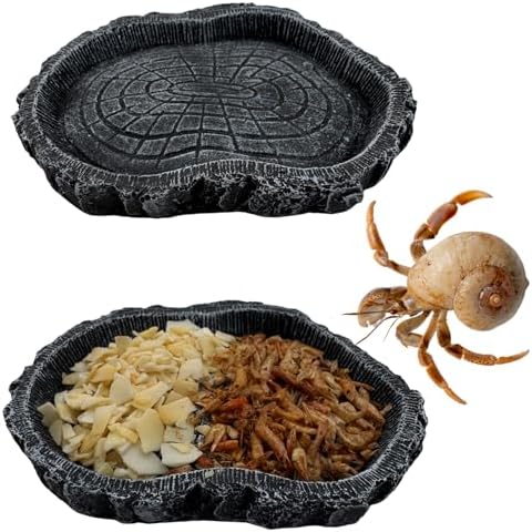 2 Pack Shallow Reptile Food Bowls, Reptile Feeding Terrarium Bowls for Bearded Dragon Lizard Frog Gecko Tortoise Hermit Crab Snail (Black)