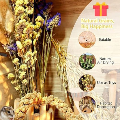 Natural Hamster Flower & Herb Habitat Deocr, Edible Hamster Sprays Flowers Bedding Mate, Hamsters Cage Enrichment Decoration Accessories for Gerbil Dwarf Syrian Hamsters Guinea Pig Mice