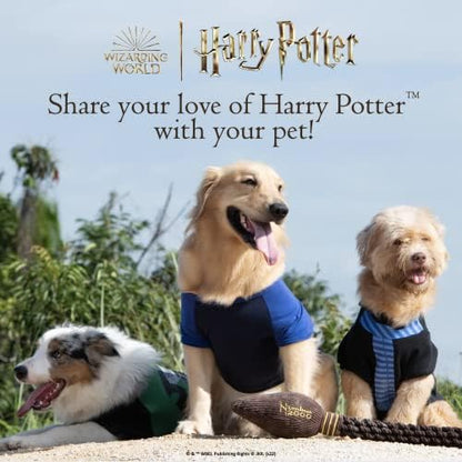 Harry Potter Hogwarts Pride Dog Tennis Balls, 4 Pk