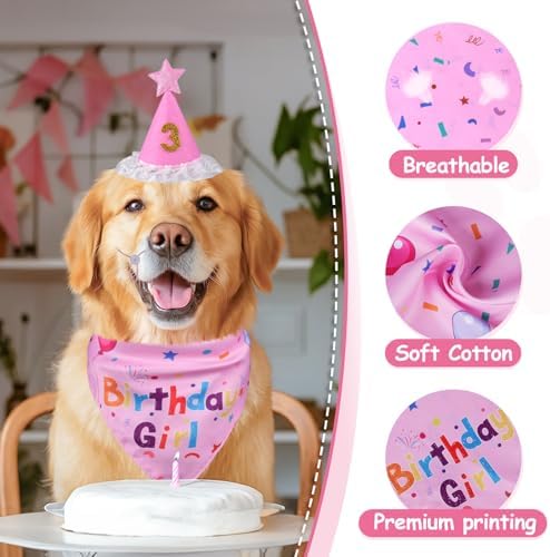 Dog Girl Birthday Party Hat, Dog Birthday Party Supplies