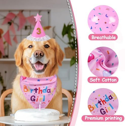 Dog Girl Birthday Party Hat, Dog Birthday Party Supplies