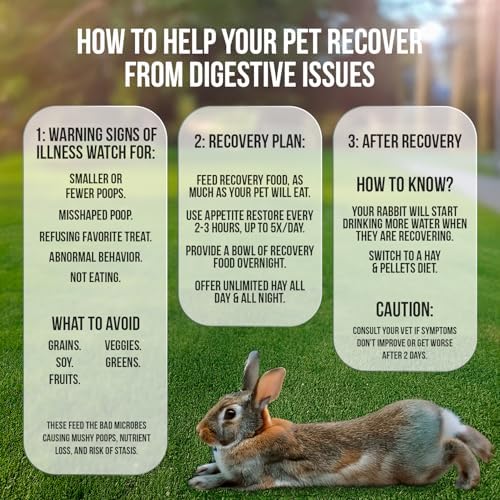 Sherwood Pet Health Rabbit Emergency kit and Bulk Recovery Food (Large kit)