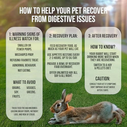 Sherwood Pet Health Rabbit Emergency kit and Bulk Recovery Food (Large kit)