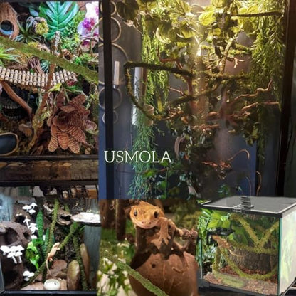 USMOLA Moss Vine for Reptiles, Bendable Climbing Vines Reptile Tank Accessories, Natural Moss Rope for Leopard Gecko, Lizard, Snake, Chameleon, Frog Terrarium Decor (Jungle Green, 9.8 FT)