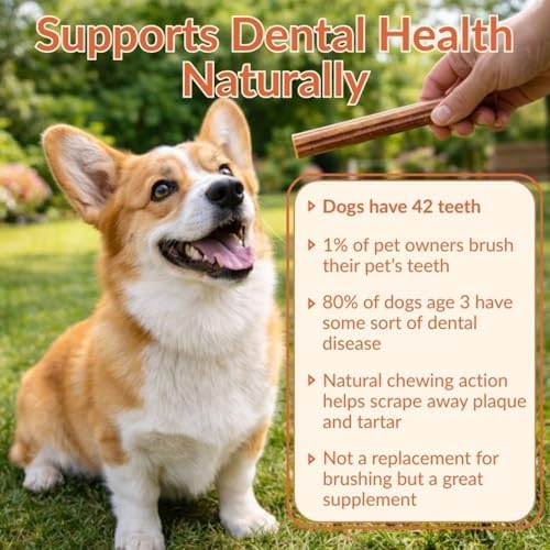 Bully Sticks for Large Dogs 12" – Single Ingredient, 10-Pack