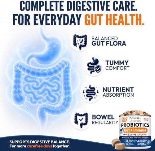 Probiotics for Dogs - 170 Dog Probiotics Chews - Digestive Enzymes Support