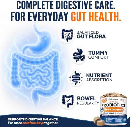 Probiotics for Dogs - 170 Dog Probiotics Chews - Digestive Enzymes Support