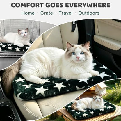 Dog Bed Mat, Reversible Crate Pad & Cute Dog Bed - Machine Washable Kennel Mat with Ultra Soft (Big&Small Stars Green, 18" L x 14" W x 1.5" Th)