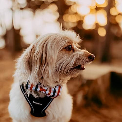 Lionheart Glory Plaid Dog Collar with Bowtie - Heavy Duty, Adjustable, Fall Collar for Large Dogs