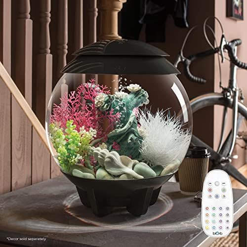 biOrb Halo 15 Acrylic 4-Gallon Aquarium with Multi-Color Remote-Controlled LED Lights Modern Compact Tank for Tabletop or Desktop Display, Gray