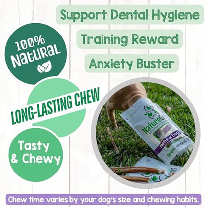 Nature Gnaws Extra Thin Bully Sticks 5-6" Rawhide Free Dog Chews, 10 Count