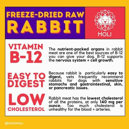 HOLI Freeze Dried Rabbit Dog Treats – Single Ingredient Freeze Dried Rabbit Treats for Dogs – All Natural – High Value Training Treats - 1.75 oz