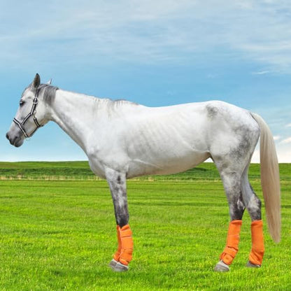 Horse Fly Boots, Mesh Fly Boots for Horse Set of 4, Equine Leg Protection