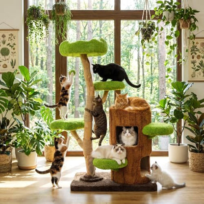 KAMABOKO 57" Tall Indoor Cat Tree, Large Tower with 2 Condos & Sisal Scratching Pad