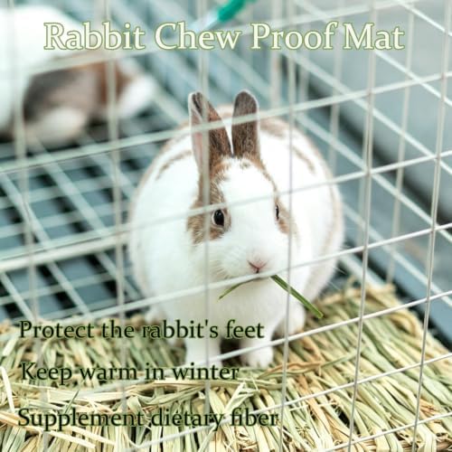 4 Pcs Natural Rabbit Grass Mats Chewable Bedding 11''x8.3''