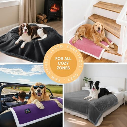 Luciphia Waterproof Bed Blanket Washable,Soft Sherpa Fleece Puppy Reversible Throw Blankets for Medium Large Dog Cat,Furniture Cover Protector Couch from Liquid Pee and Pet Fur,Purple White,65" x 57"