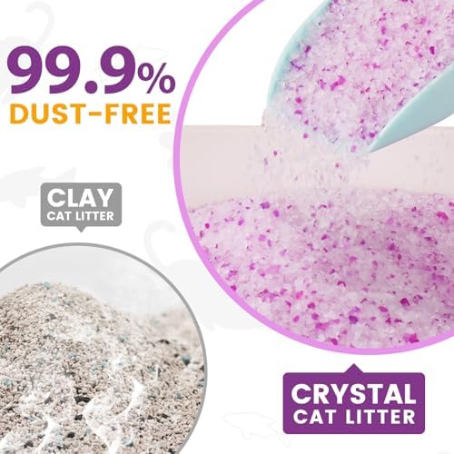 NEWORD Crystals Cat Litter Lightly Scented Litter Superior Odor Control 14 lbs Total (2 Pack of 7lb Bags) Soft-On-Paws Low Tracking Dust-Free Purple Silica Gel, Lavender