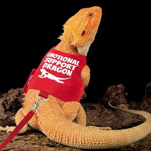 Bearded Dragon Harness and Leash Set, Escape Proof Reptile Vest